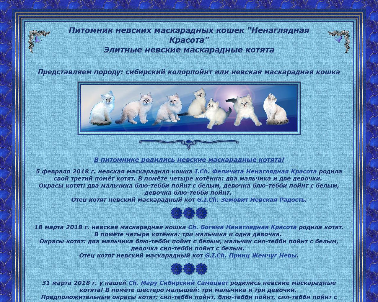 Изображение сайта nevacat.ru в разрешении 1280x1024