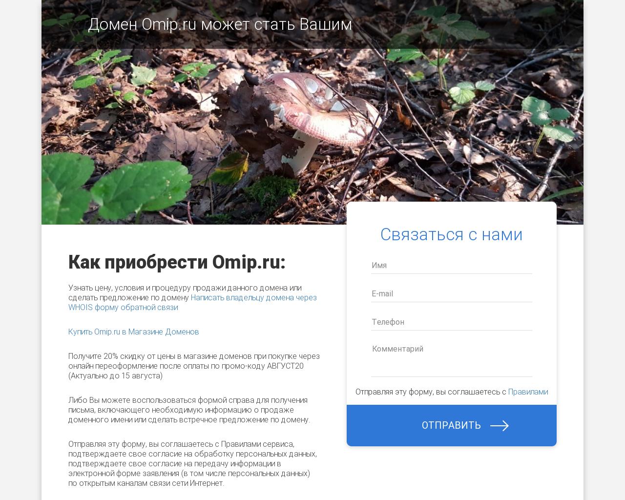 Изображение сайта omip.ru в разрешении 1280x1024