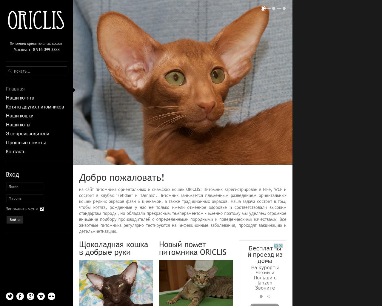 Изображение сайта oriclis.ru в разрешении 1280x1024