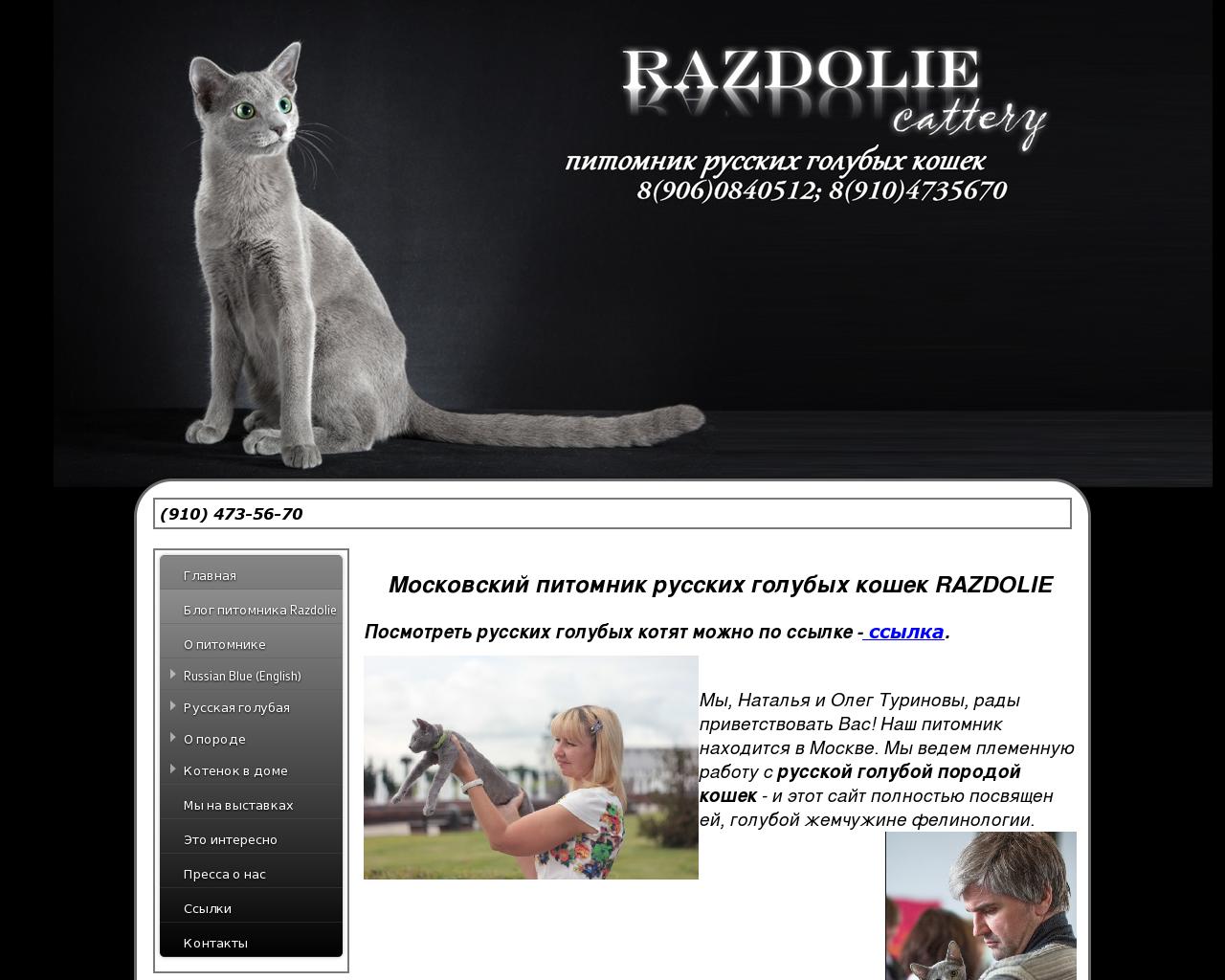 Изображение сайта pitomnik-razdolie.ru в разрешении 1280x1024