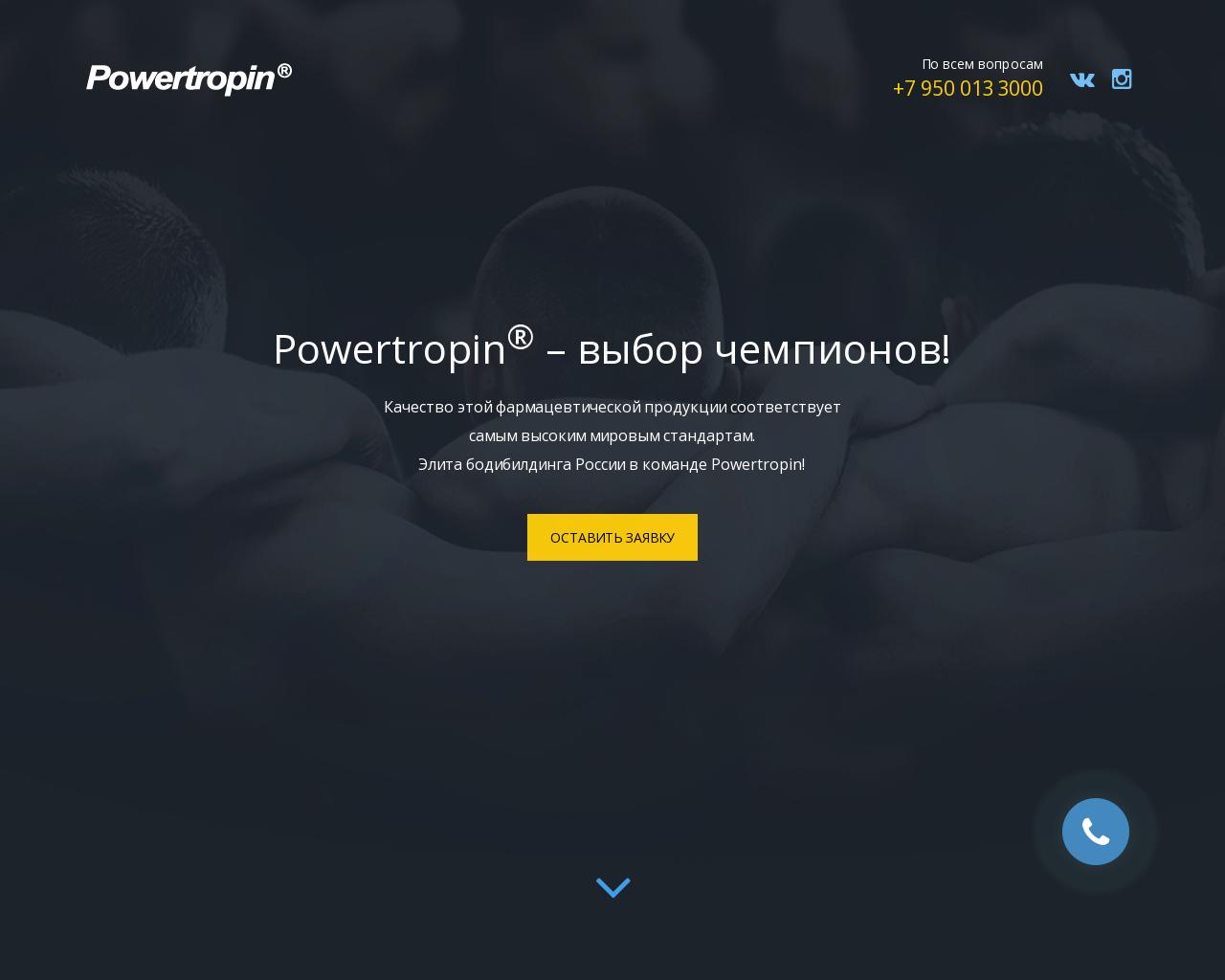 Изображение сайта powertropin.ru в разрешении 1280x1024
