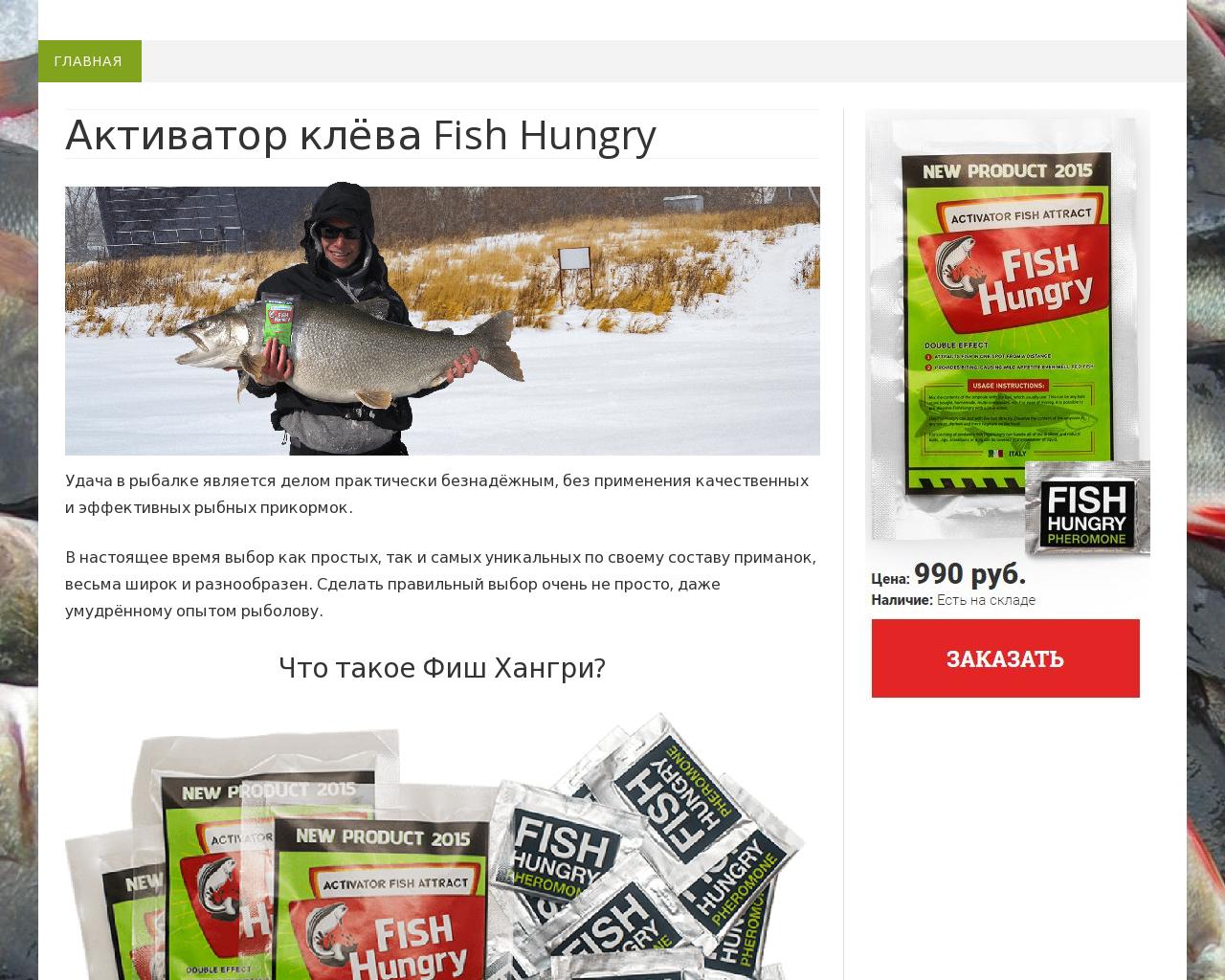 Изображение сайта prikorm-fishhunger.ru в разрешении 1280x1024
