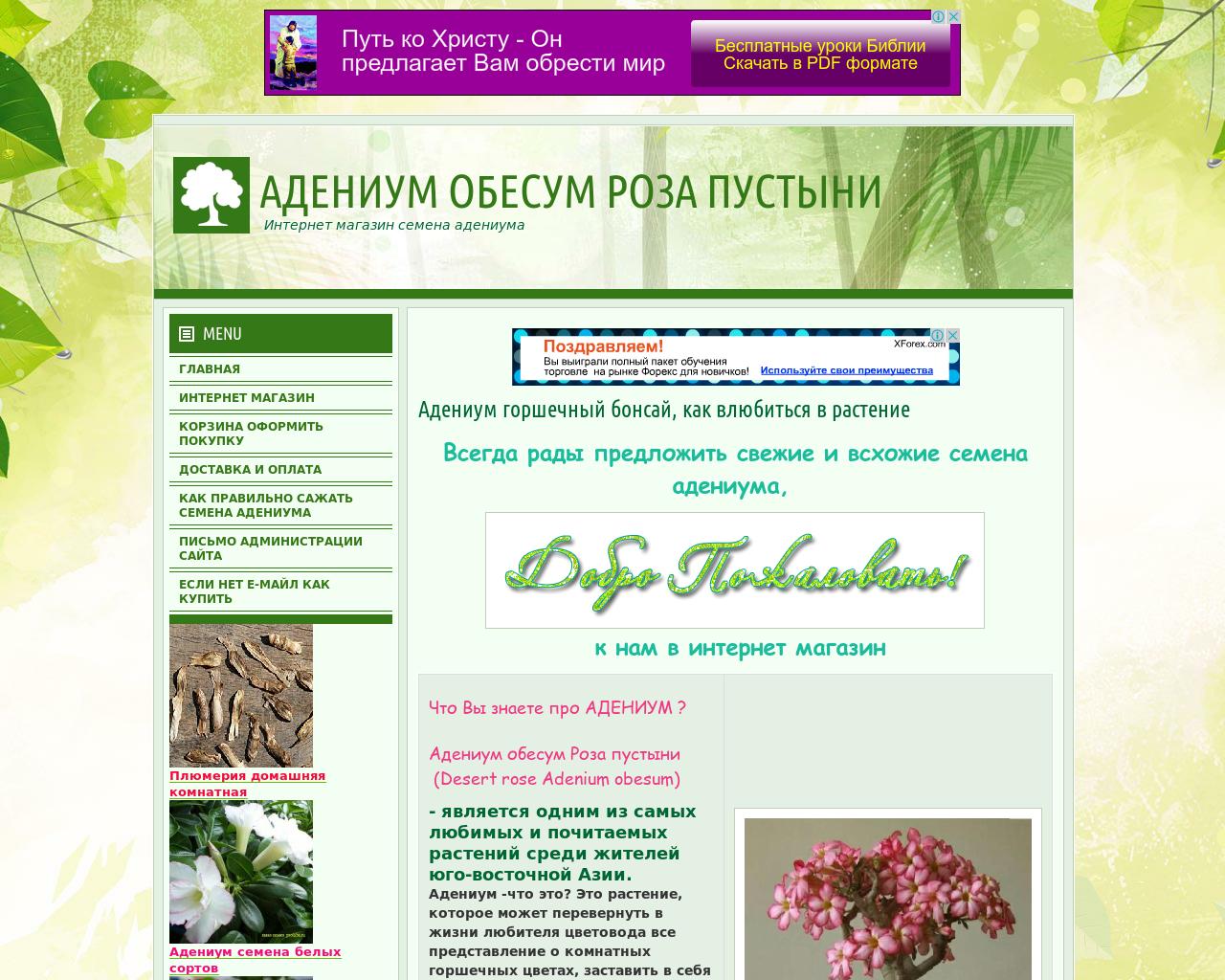 Изображение сайта proluba.ru в разрешении 1280x1024