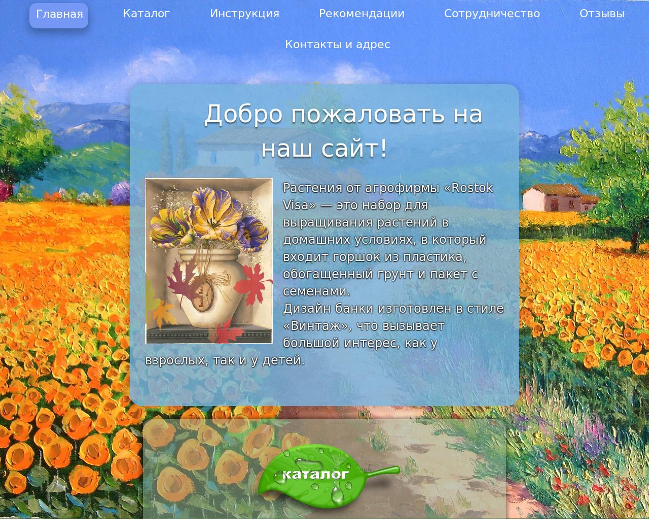 Изображение сайта rostokvisa.ru в разрешении 1280x1024