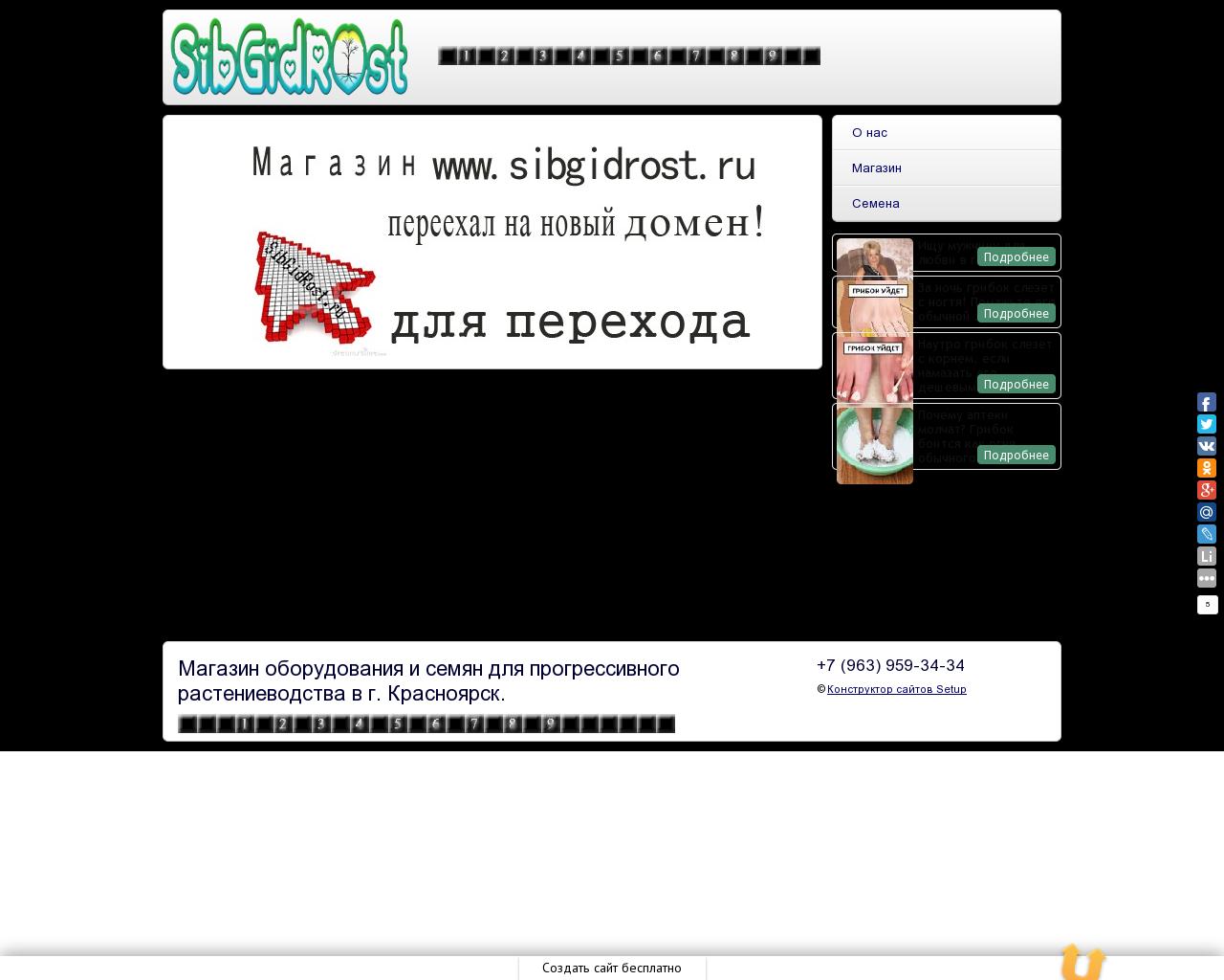 Изображение сайта sibgidrost.ru в разрешении 1280x1024