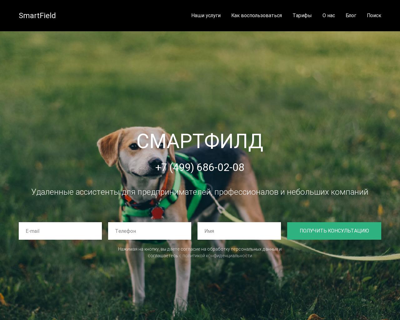 Изображение сайта smartfield.ru в разрешении 1280x1024