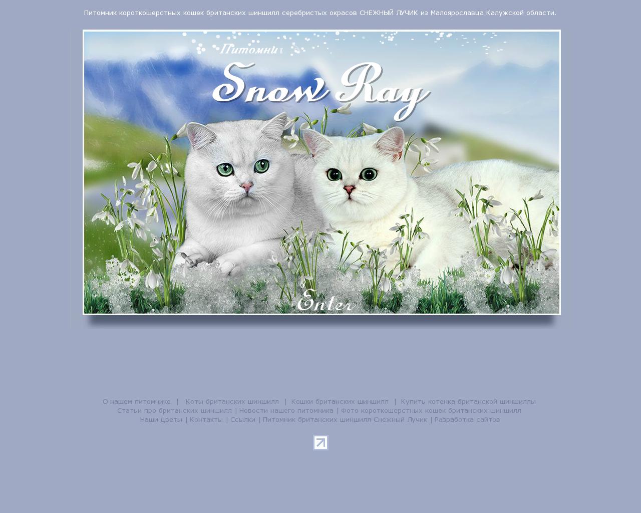 Изображение сайта snow-ray.ru в разрешении 1280x1024