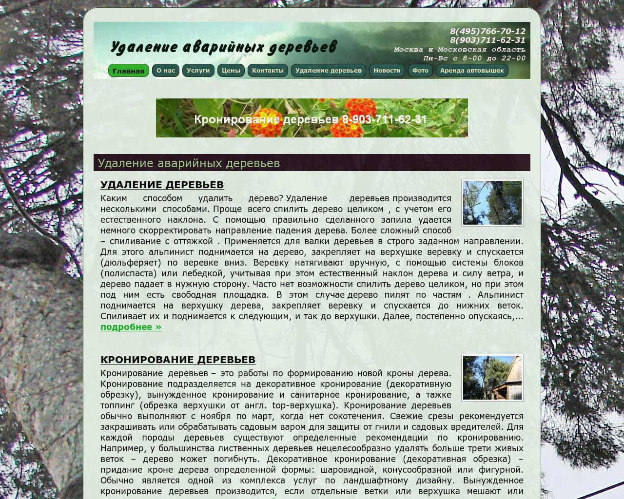 Изображение сайта spilim-derevo.ru в разрешении 1280x1024