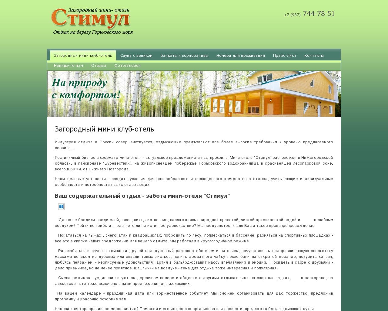 Изображение сайта stimulmini.ru в разрешении 1280x1024