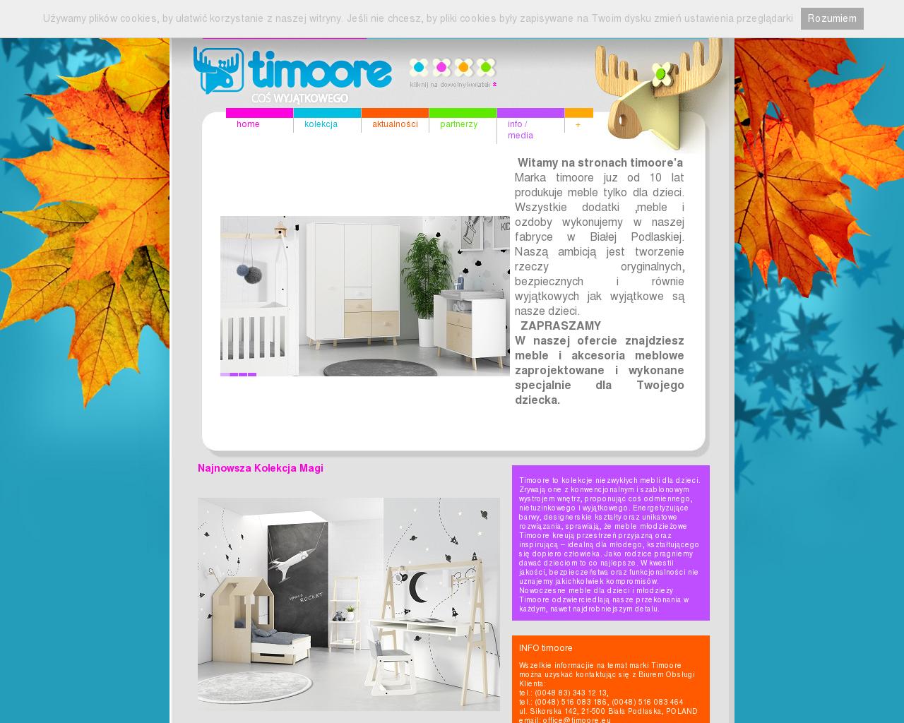 Изображение сайта timoore.ru в разрешении 1280x1024