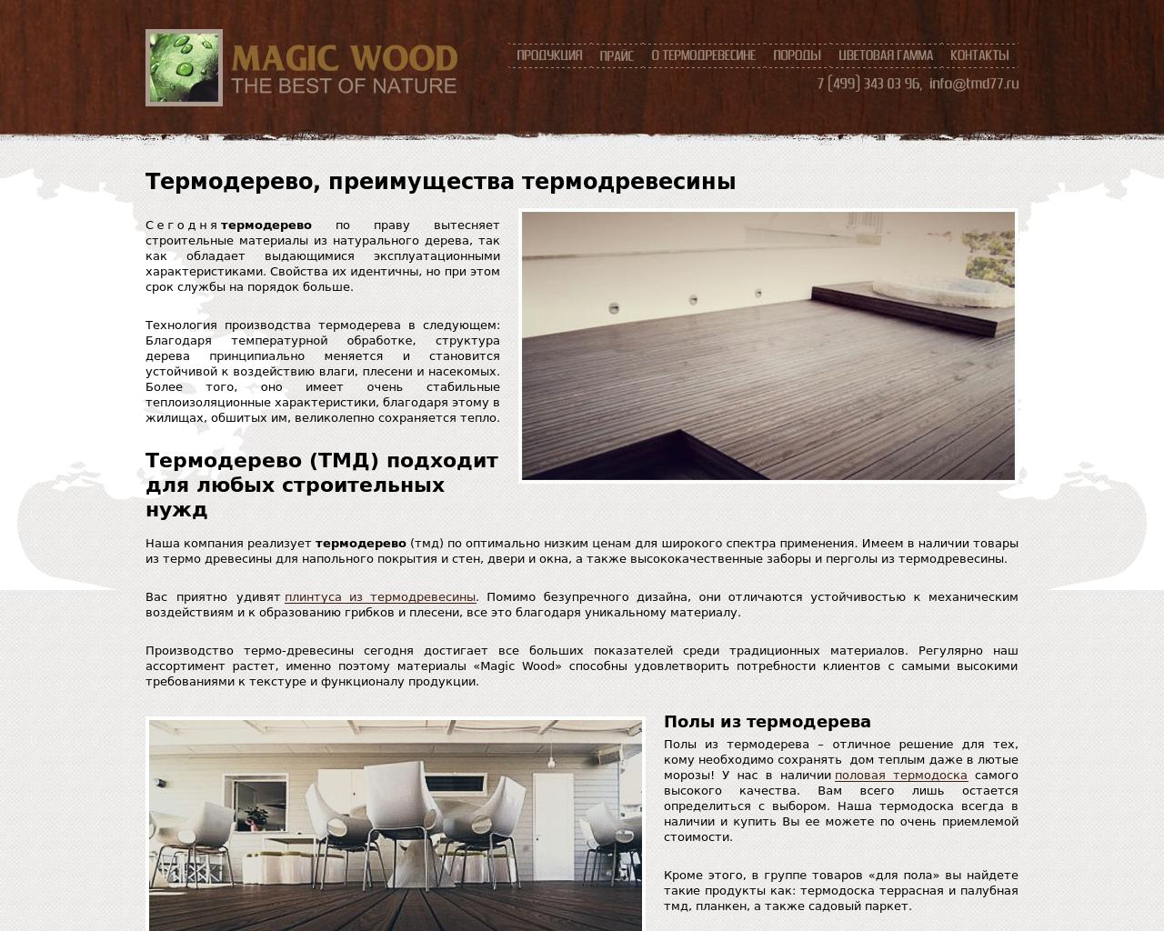 Изображение сайта tmd77.ru в разрешении 1280x1024