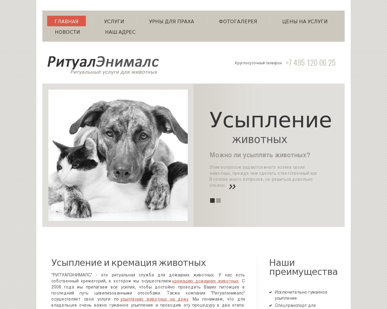 Изображение сайта vet-911.ru в разрешении 1280x1024