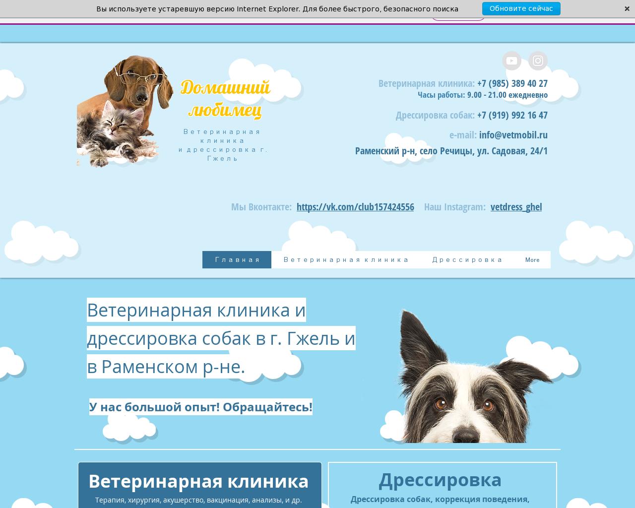 Изображение сайта vetmobil.ru в разрешении 1280x1024