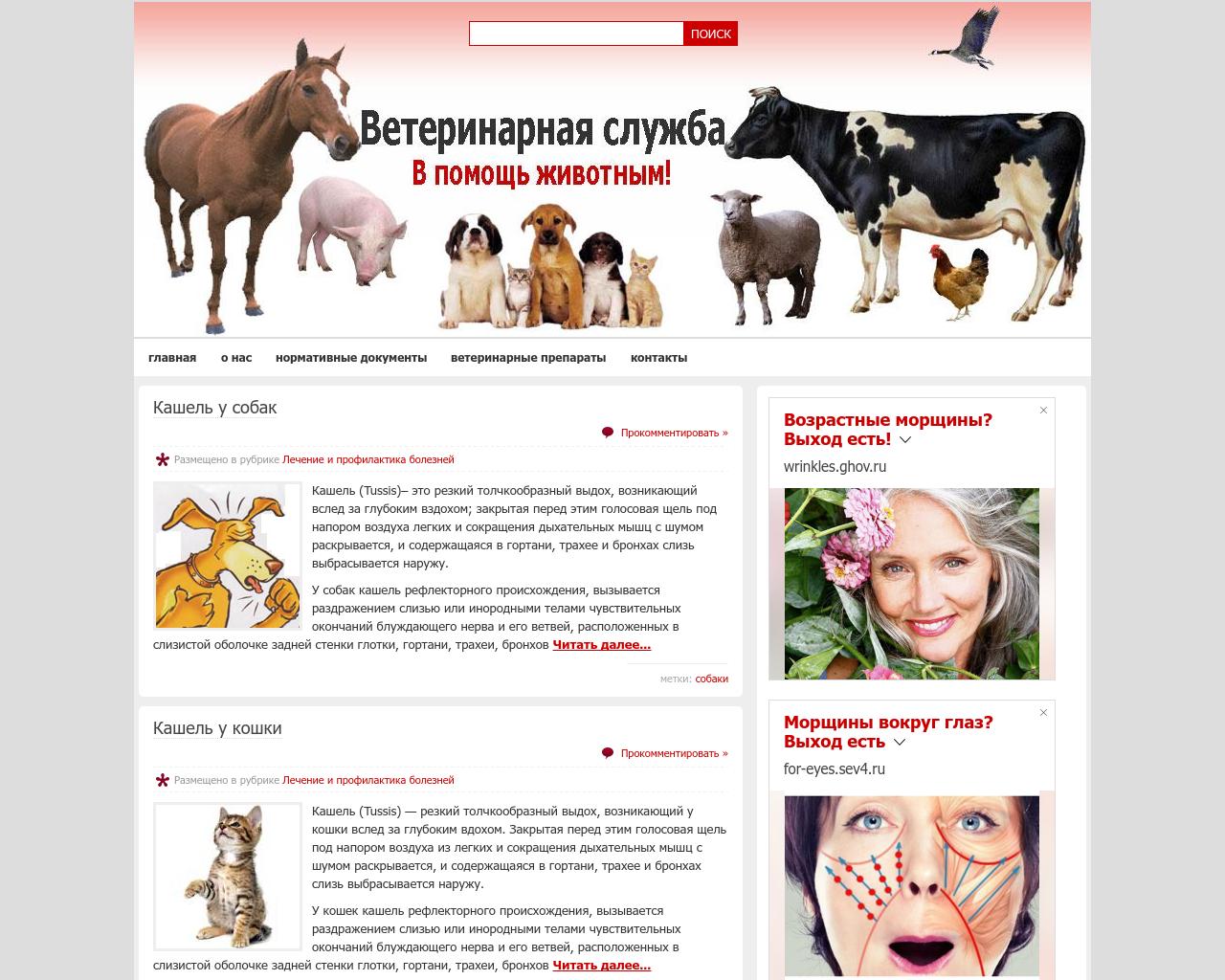 Изображение сайта vetvo.ru в разрешении 1280x1024