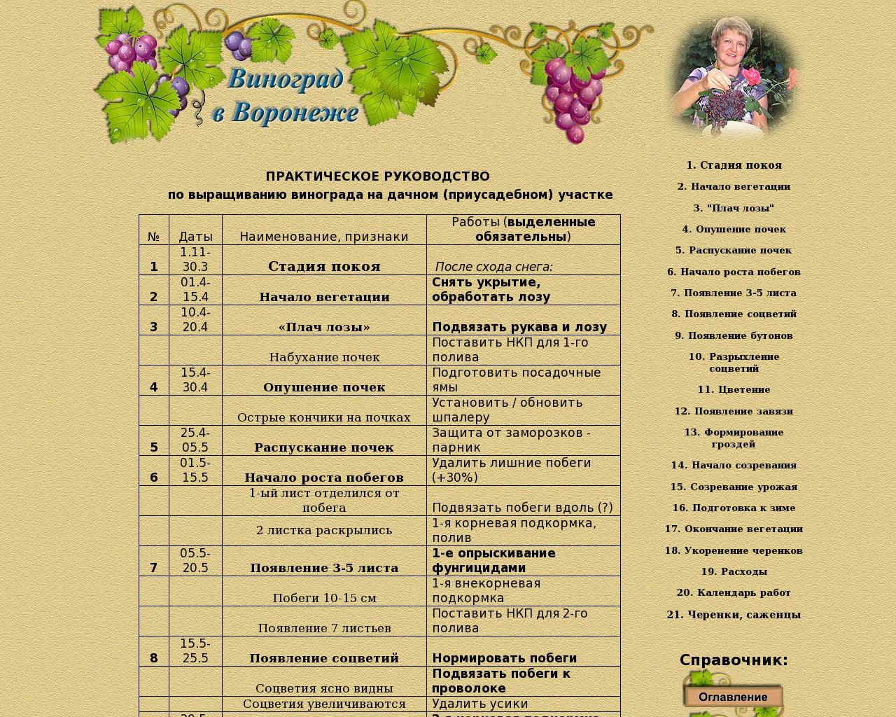 Изображение сайта vitis-vrn.ru в разрешении 1280x1024