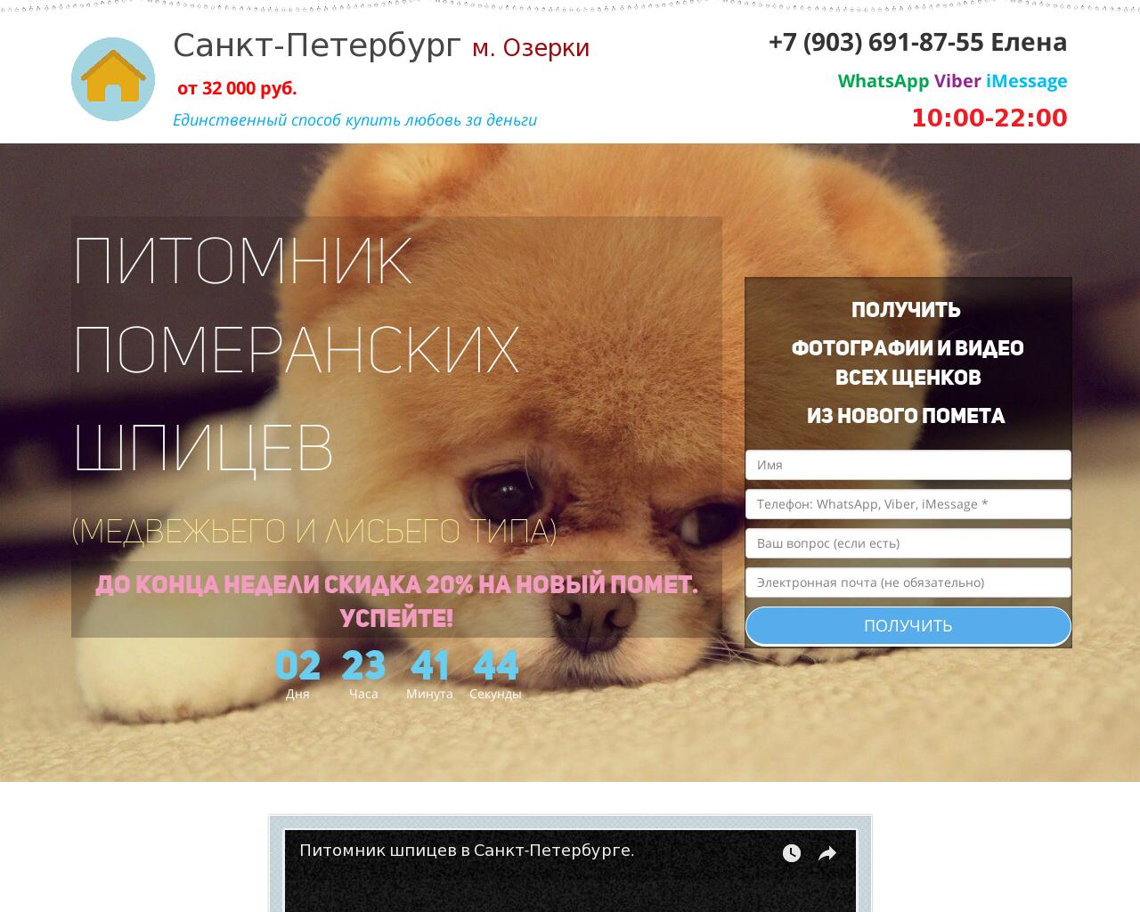 Изображение сайта питомник-шпицев.рф в разрешении 1280x1024