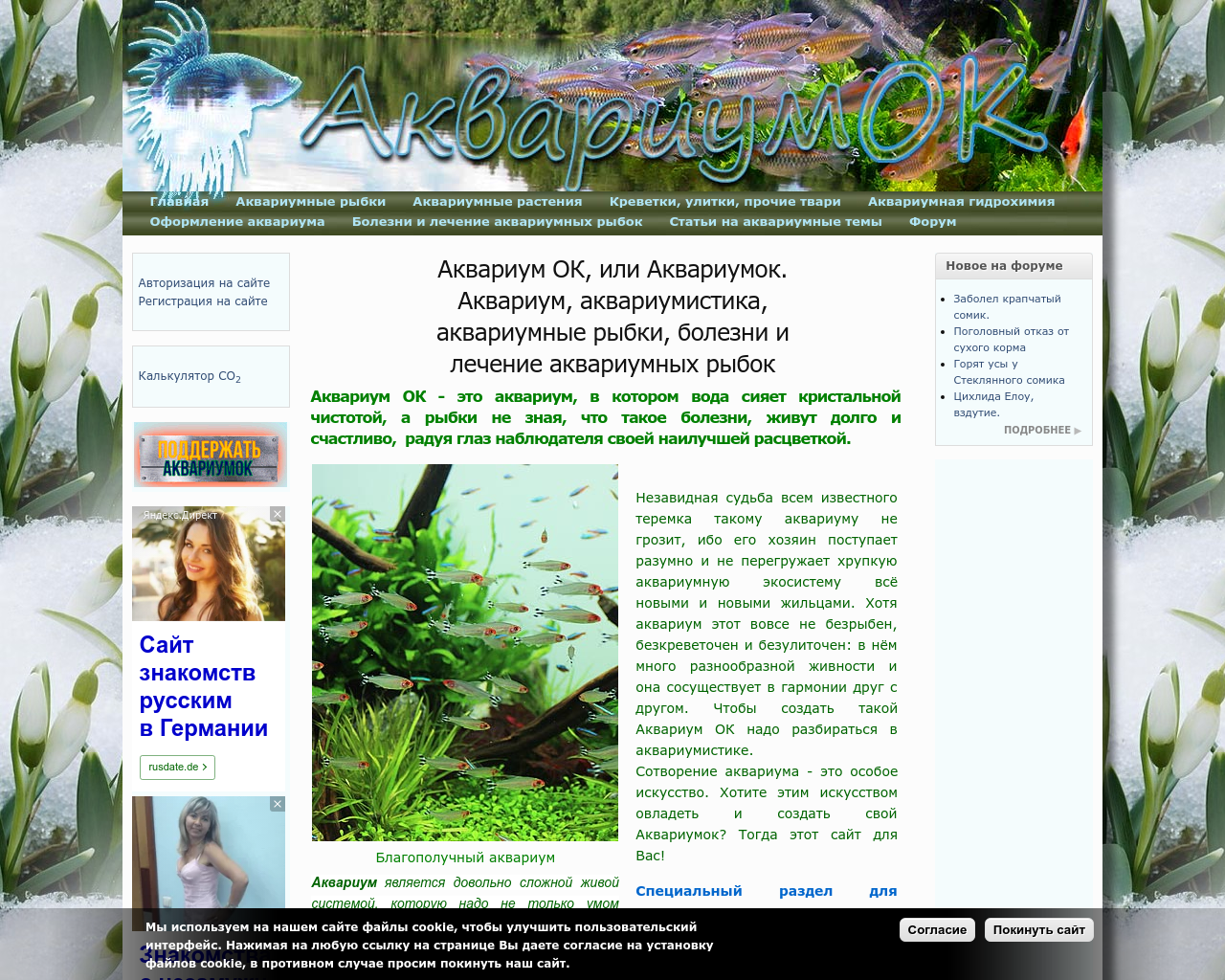 Изображение сайта аквариумок.рф в разрешении 1280x1024
