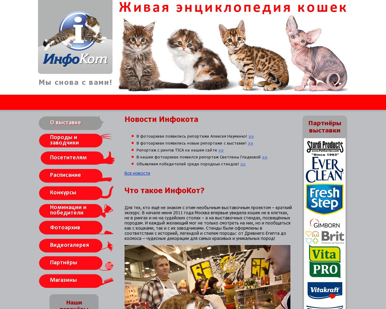 Изображение сайта котята.рф в разрешении 1280x1024